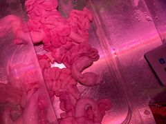 -强叔现切猪杂粥(翻身店)