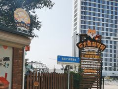 -柴犬高等学院·狗咖·柴犬售卖·宠物训练