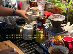 -中山市树木园