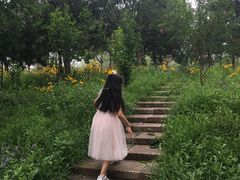 -东郊湿地公园