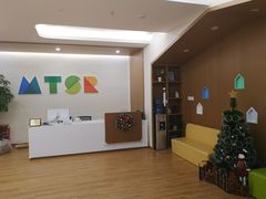 -自然树儿童之家(海珠翠城花园托育.早教校区)