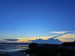 -宝安西湾红树林湿地公园