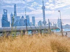 -北外滩滨江绿地