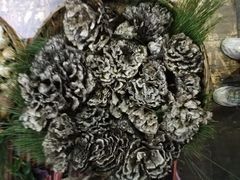 -昆虫窝子·特色云南菜(拓东路总店)