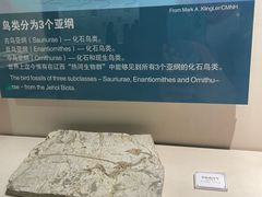 -辽宁古生物博物馆
