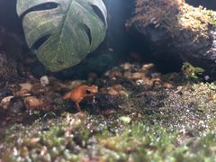 -暹罗海洋世界