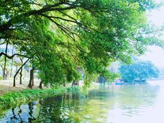 -荔湾湖公园