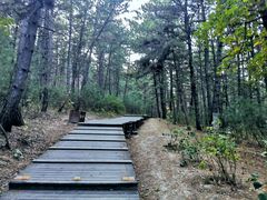 -帽儿山国家森林公园