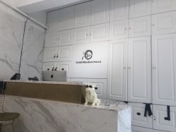 -潘多拉Hairsalon