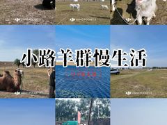 -哈拉新村