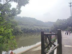 -滴水岩森林公园