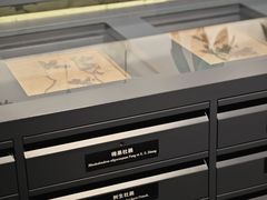 -四川大学博物馆