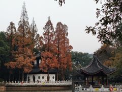 -汇龙潭