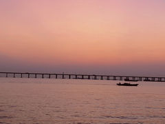 -宝安西湾红树林湿地公园
