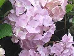 -HALO广场(梨园路店)