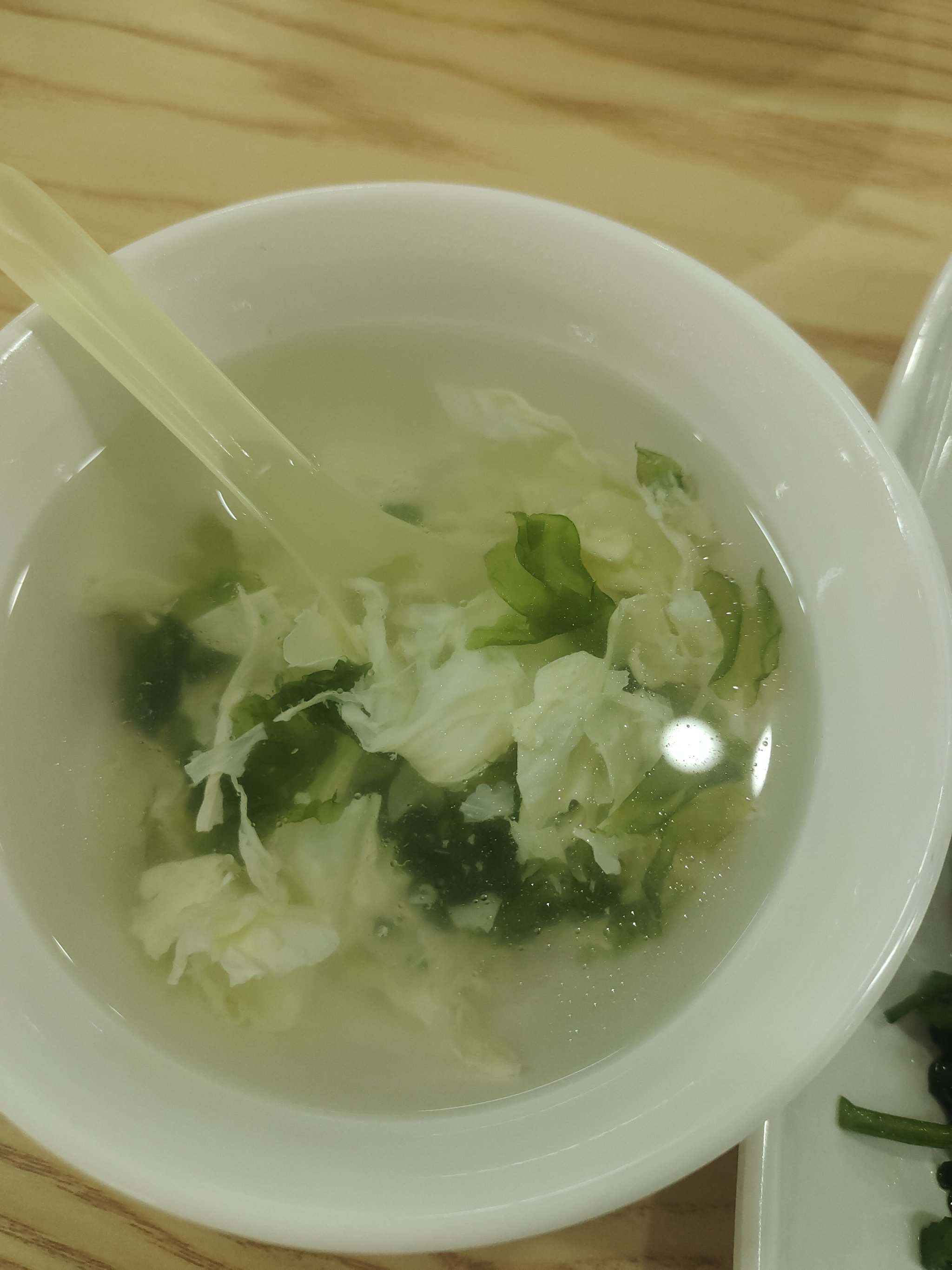 紫菜蛋花兔真实样貌图片