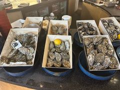 -斯普汇生蚝牛排馆(中骏世界城店)