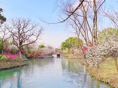 -西溪国家湿地公园