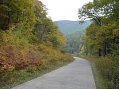 -吊水壶国家森林公园