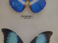 -大连自然博物馆