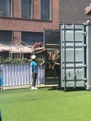 -恐龙探索乐园(磁器口店)