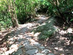 -狮子山郊野公园