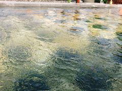 -清水湾足道馆