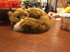 -狐狸家·酸奶酪专门店(平江路店)