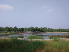 -永定河休闲森林公园