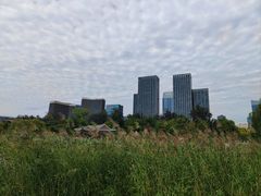 -西海子公园