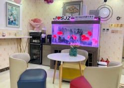 -安院长·产后恢复·徒手骨盆(先天下店)