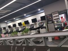 -金吉鸟健身游泳