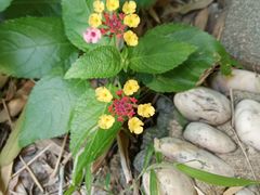 -苏州河梦清园环保主题公园