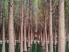 -捞渔河湿地公园