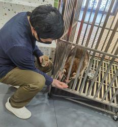 -Moni星球萌宠·小马宝莉·灵蛇·高端高阶全萌宠互动体验俱乐部(红豆国际广场店)