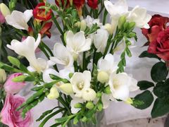 -Flower in(密渡桥店)