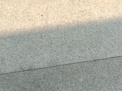 -世博源公馆·本帮融合菜·主题包厢·江景餐厅