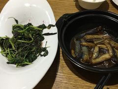 -菩提树·素食餐厅(汇智国际商业中心店)