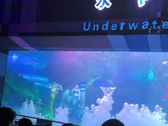 -泉城欧乐堡海洋极地世界