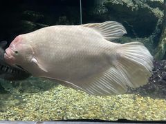 -江和美海洋公园