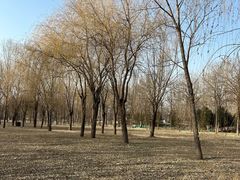 -东坝千亩湖公园