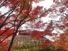 -常寂光寺
