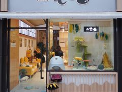 -山宅一喵德文卷毛猫舍