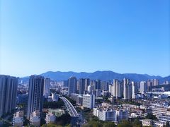 -金鸡山公园