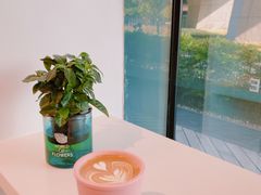 靠窗位-Manner Coffee(凌空SOHO店)