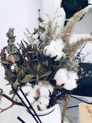 -紫御国际抗衰ZOE ANTI AGING