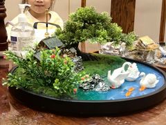 -鲁宴·鲁煨黄河生态大鲤鱼(月坛店)