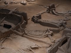 -洛阳周王城天子驾六博物馆