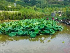 -白鹿原影视城