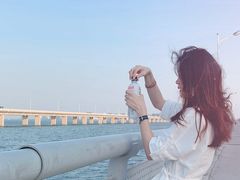 -海堤纪念公园
